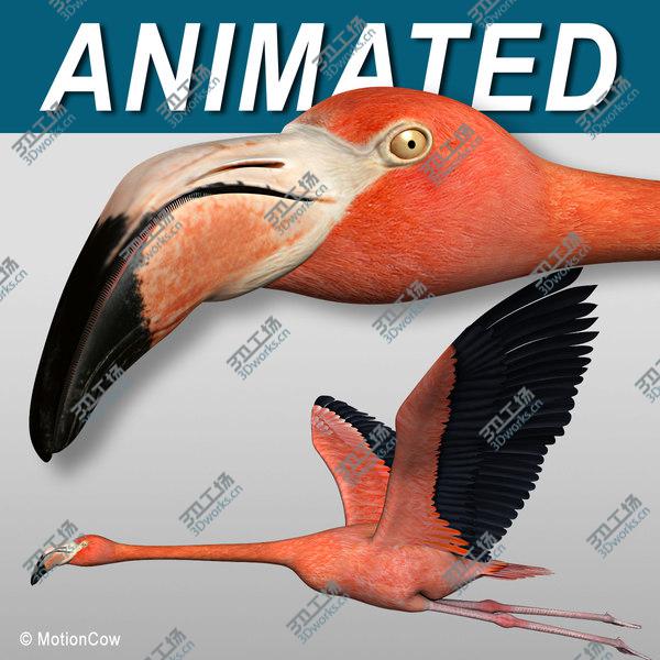 images/goods_img/20210312/Flamingo  Flying/1.jpg